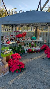 Imagen de WhatsApp 2025-03-09 a las 10.05.44_e8efddb5