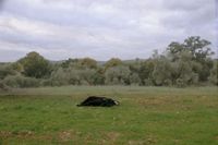 Imagen de WhatsApp 2025-01-25 a las 15.12.15_1a6df400